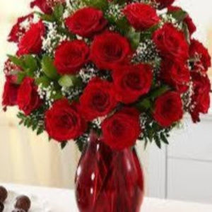 Meet your Posher, Laila